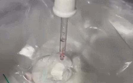 Laboratório do tráfico de cocaína é descoberto nas Moreninhas e mulher vai presa