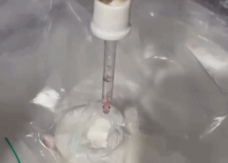 Laboratório do tráfico de cocaína é descoberto nas Moreninhas e mulher vai presa