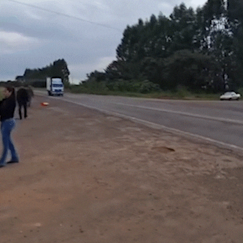 Moradores protestam por segurança em avenida de área rural de Campo Grande