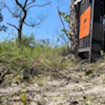 “Nova na vizinhança”, onça Corumbela preocupa moradores da Serra do Amolar