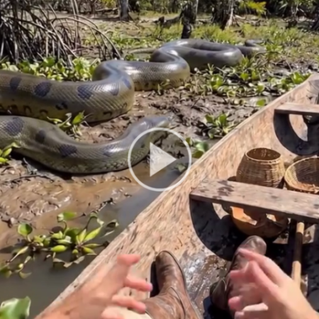 SOS Pantanal usa IA para recriar bioma de quase 500 anos atrás