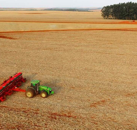Safra de soja cresce 26% em MS mesmo com seca em 640 mil hectares