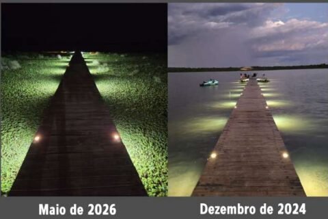 Um ano depois, origem das plantas aquáticas no Rio Pardo ainda é desconhecida