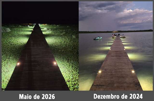 Um ano depois, origem das plantas aquáticas no Rio Pardo ainda é desconhecida