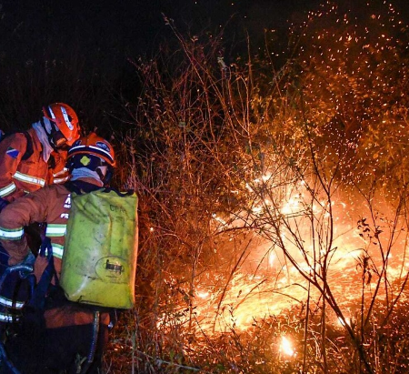 Curso gratuito abre vagas para combate a incêndios florestais