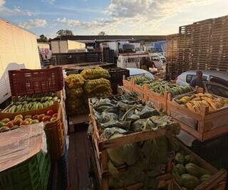 Ceasa movimenta R$1 bilhão e comercializa 231 mil toneladas de alimentos em 2025 Ceasa movimenta R$1 bilhão e comercializa 231 mil toneladas de alimentos em 2025