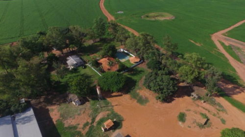 Juiz do Paraná decide que fazenda em MS deve ficar com dono devedor