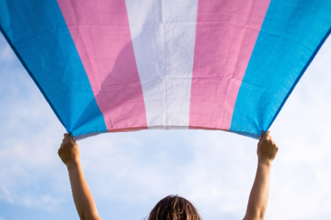 Campo Grande será palco da 1ª Marcha Trans e Travesti de MS