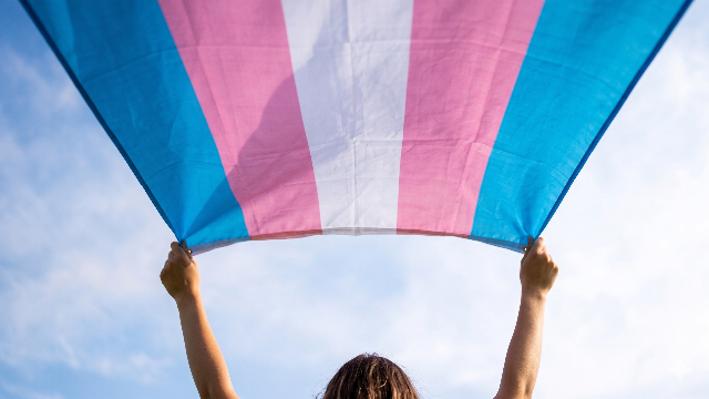 Campo Grande será palco da 1ª Marcha Trans e Travesti de MS