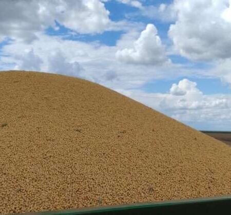 MS bate recorde de exportações e acumula superávit de US$ 3,596 bilhões