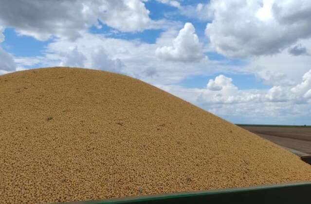 MS bate recorde de exportações e acumula superávit de US$ 3,596 bilhões
