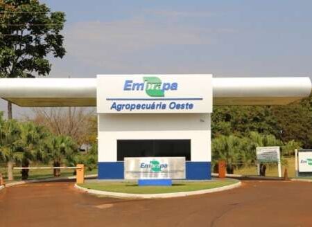 Feira da Agricultura Familiar terá programação exclusiva para povos originários