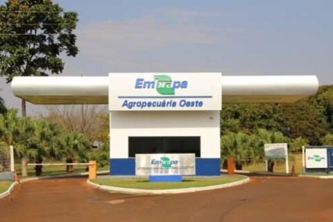 Feira da Agricultura Familiar terá programação exclusiva para povos originários