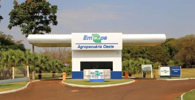 Feira da Agricultura Familiar terá programação exclusiva para povos originários