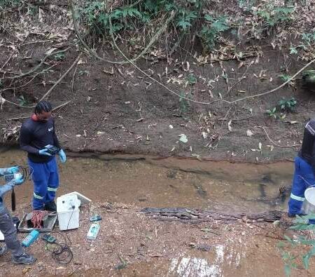 Estudo para conservação da bacia do Rio Formoso deve ser finalizado em setembro