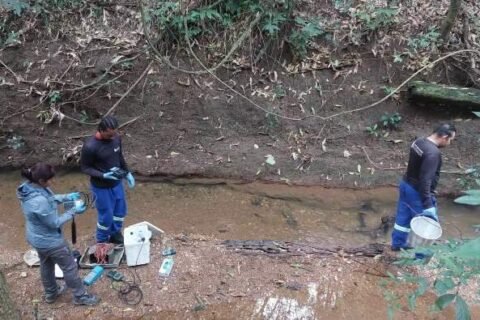 Estudo para conservação da bacia do Rio Formoso deve ser finalizado em setembro