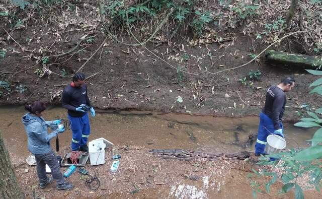 Estudo para conservação da bacia do Rio Formoso deve ser finalizado em setembro