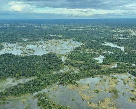 Parte do Pantanal volta a encher após 10 anos de seca
