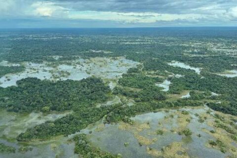 Parte do Pantanal volta a encher após 10 anos de seca