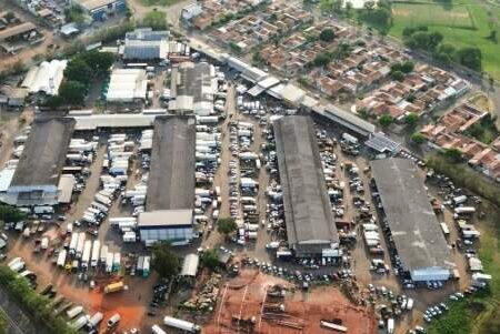 Ceasa movimenta R$1 bilhão e comercializa 231 mil toneladas de alimentos em 2025