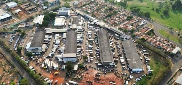 Ceasa movimenta R$1 bilhão e comercializa 231 mil toneladas de alimentos em 2025
