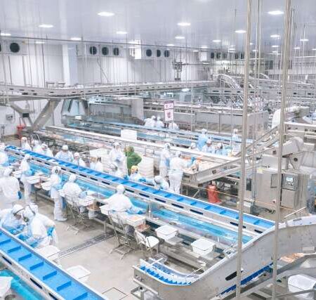 Investimento de R$ 18 milhões impulsiona expansão da avicultura no sul do Estado