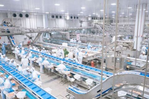 Investimento de R$ 18 milhões impulsiona expansão da avicultura no sul do Estado
