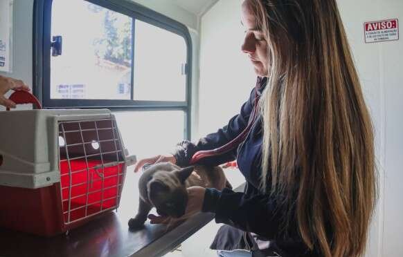 Atendimento veterinário gratuito chega ao Jardim Noroeste nesta segunda