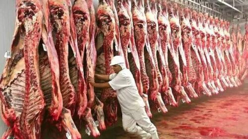 Trabalho escravo é justificativa para guerra comercial, diz Acrissul