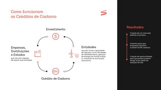 Petróleo e aviação entram no radar dos créditos de carbono de Mato Grosso do Sul Petróleo e aviação entram no radar dos créditos de carbono de Mato Grosso do Sul