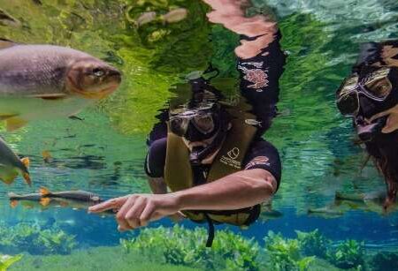 Bonito recebeu, em média, 1 turista a cada 2 minutos em 2026