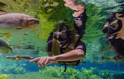 Bonito recebeu, em média, 1 turista a cada 2 minutos em 2026