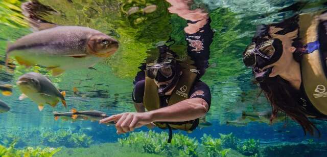 Bonito recebeu, em média, 1 turista a cada 2 minutos em 2026