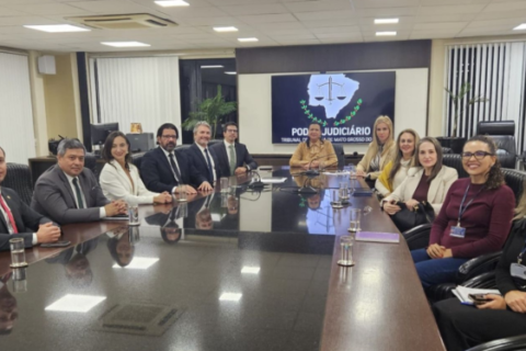 Após reunião no TJ, Polícia Civil destaca 746 prisões e fim de pendências