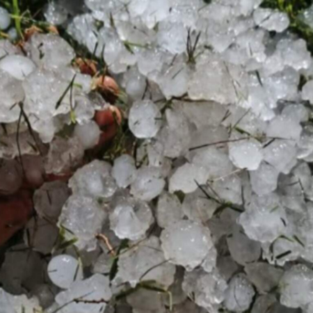 Granizo causa perda de 2,1 mil hectares de milho no sul de MS