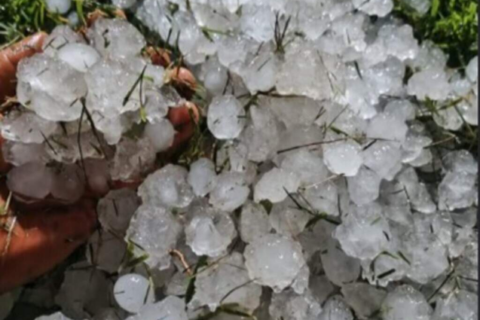 Granizo causa perda de 2,1 mil hectares de milho no sul de MS