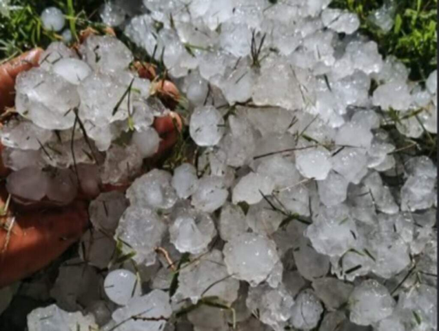 Granizo causa perda de 2,1 mil hectares de milho no sul de MS