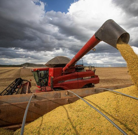Entidades de MS pedem alteração no período de cultivo da soja