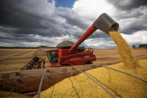Entidades de MS pedem alteração no período de cultivo da soja