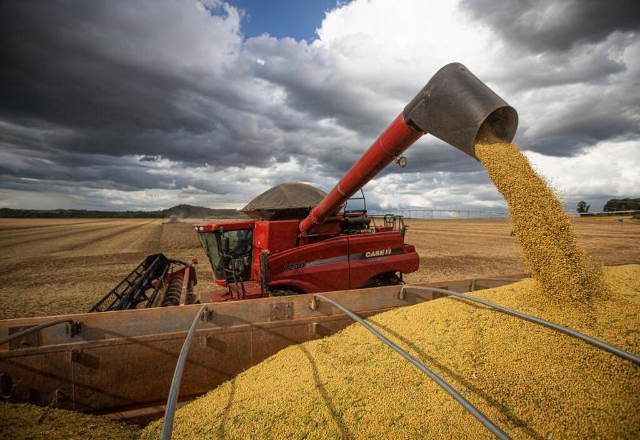 Entidades de MS pedem alteração no período de cultivo da soja