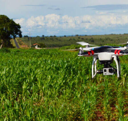 MS está entre os 10 estados que mais usam drones no agronegócio