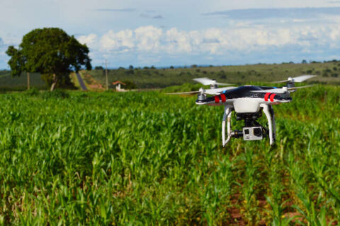 MS está entre os 10 estados que mais usam drones no agronegócio