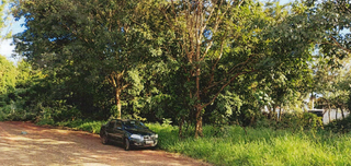 Prefeitura põe em leilão terreno a 266 metros da Afonso Pena por R$ 3,1 mi