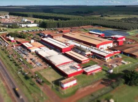 Aurora investe R$ 350 milhões para ampliar em 60% o abate de suínos