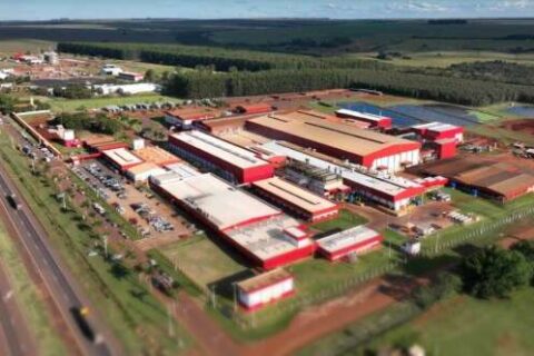 Aurora investe R$ 350 milhões para ampliar em 60% o abate de suínos