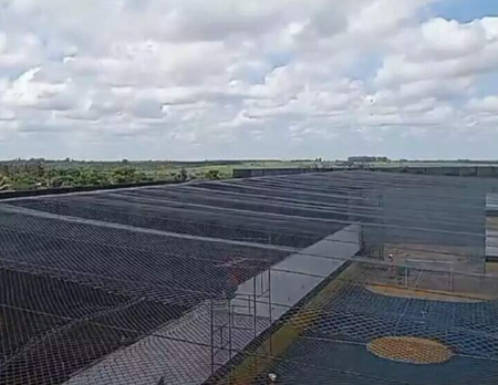 Drone é derrubado ao tentar levar cocaína e celular para Máxima