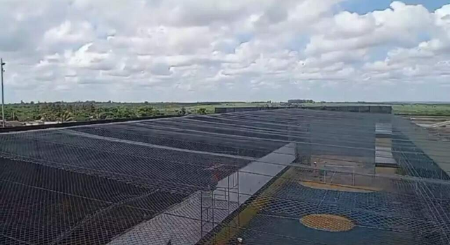 Drone é derrubado ao tentar levar cocaína e celular para Máxima