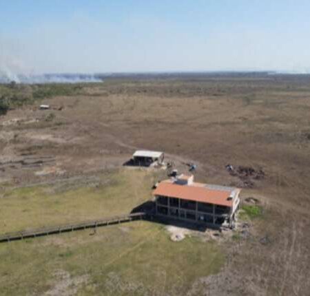 Terras de fazendeiros acusados de grilagem no Pantanal passarão por perícia