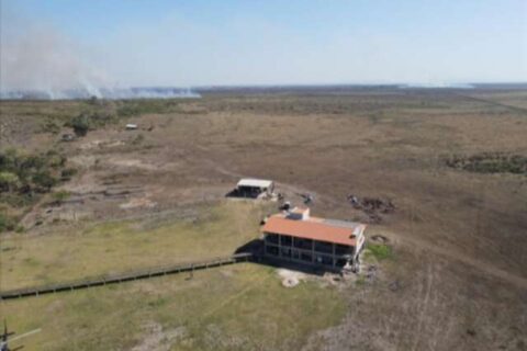 Terras de fazendeiros acusados de grilagem no Pantanal passarão por perícia
