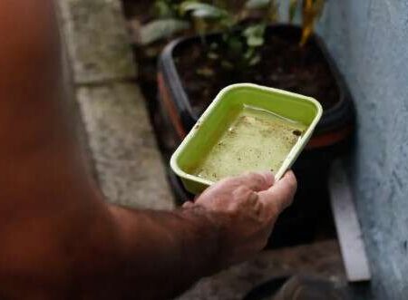 Ministério da Saúde alerta para risco de alta da dengue com avanço do El Niño